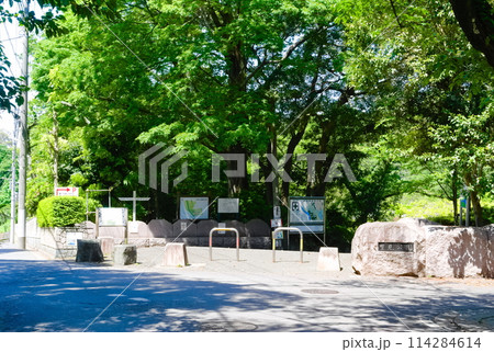 千葉県市川市里見公園周辺2024年5月 千葉県市川市里見公園周辺2024年5月 114284614