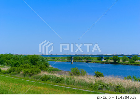 千葉県松戸市上葛飾橋2024年5月 114284618