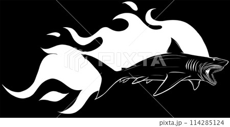 white silhouette of Danger shark with flames fon black background white silhouette of Danger shark with flames fon black background 114285124