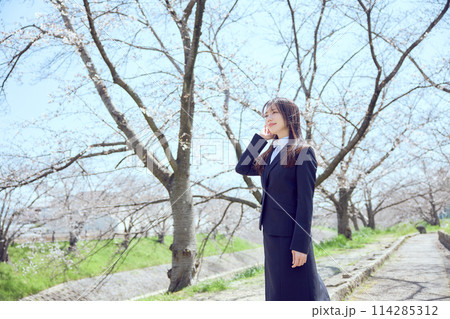 桜並木を歩くスーツを着た女性 114285312