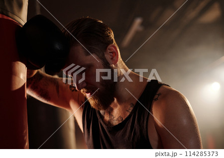 Tired boxer having break after training 114285373