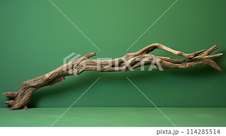 Beautiful winding driftwood for product photography. Grape branch on a table with beautiful sunlight 114285514