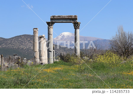 アフロディスィアス遺跡　世界遺産　エーゲ海沿岸　トルコ　アジア 114285733