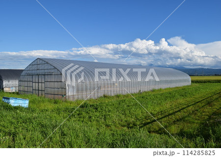農業用ビニールハウス 114285825