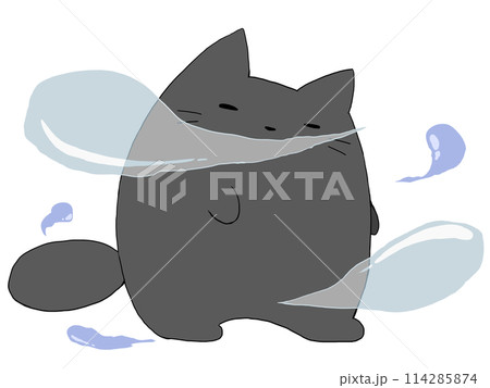 魂とねこ 魂とねこ 114285874