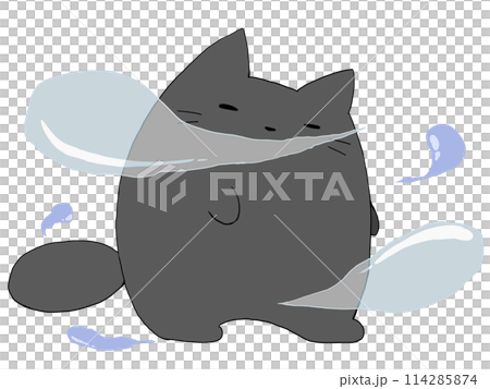 靈魂和貓 114285874