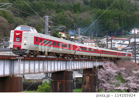 桜と伯備線特急やくも号：381系電車（岡山⇔出雲市） 114285924