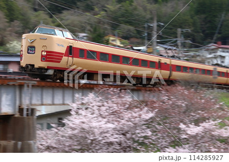 桜と伯備線特急やくも号：381系電車（国鉄色リバイバル編成） 114285927