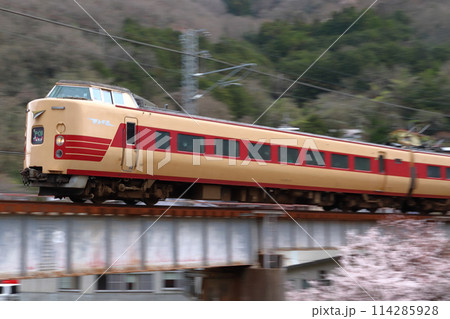 桜と伯備線特急やくも号：381系電車（国鉄色リバイバル編成） 114285928