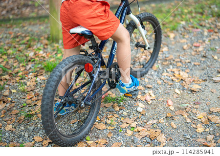 林道を走る子どもと自転車 114285941