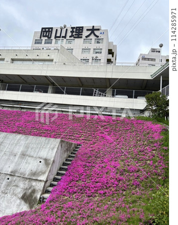 ビルのある風景 114285971