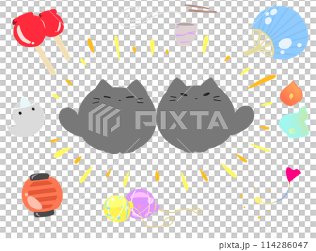 Summer night treat cat Summer night treat cat 114286047