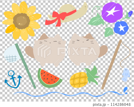 夏のあしらいねこ 114286048