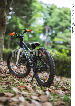 山の中のオフロード自転車 子ども用 LOOK車 114286221