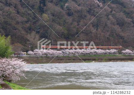 春の高梁川を行く伯備線特急やくも号：381系電車（国鉄色リバイバル編成） 114286232