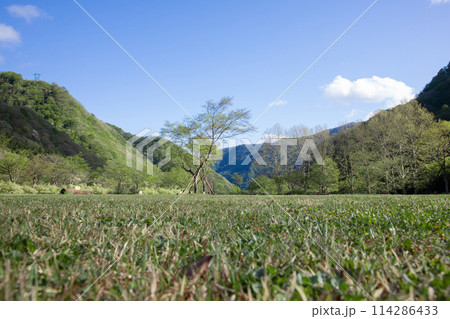 キャンプ　BBQ 114286433