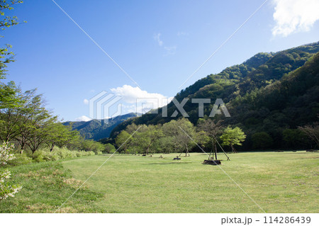 キャンプ　BBQ 114286439