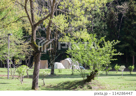 キャンプ　BBQ 114286447