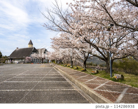 桜の咲くグリーンヒル郷原 114286938