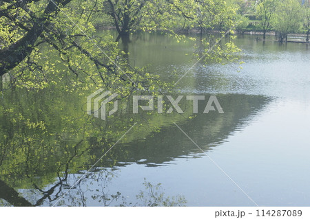 室生湖の春 室生湖の春 114287089