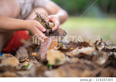 落ち葉で遊ぶ子ども 落ち葉で遊ぶ子ども 114287265