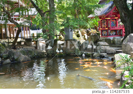 雨引観音 2023-9-3 #39 雨引観音 2023-9-3 #39 114287535