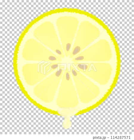 レモンの断面イラスト レモンの断面イラスト 114287571
