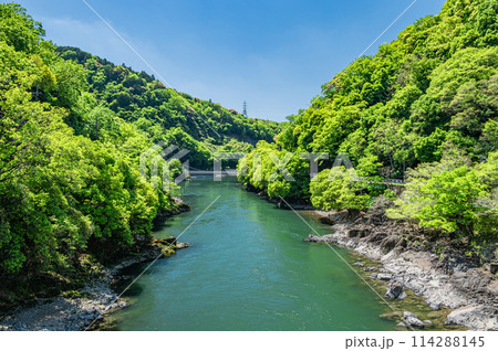 新緑の宇治川風景　京都府宇治市 114288145