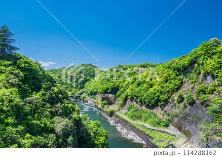 天ケ瀬ダムからの宇治川の景観　京都府宇治市 114288162