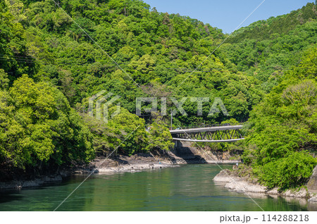 新緑の山峡　宇治川　京都府宇治市 114288218