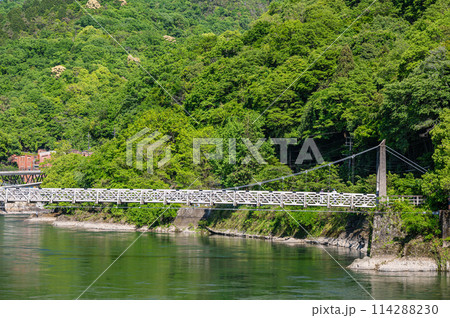 宇治川の吊り橋 天ケ瀬橋 京都府宇治市 宇治川の吊り橋 天ケ瀬橋 京都府宇治市 114288230