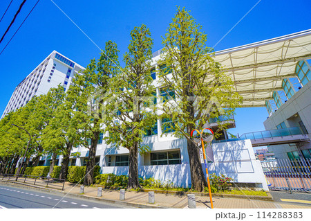 亜細亜大学 亜細亜大学 114288383