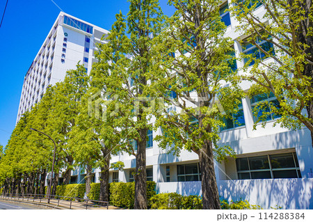 亜細亜大学 114288384