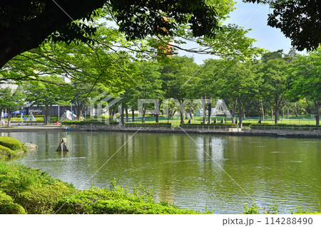 つくば中央公園 茨城県筑波市 つくば中央公園 茨城県筑波市 114288490