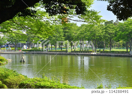 つくば中央公園 茨城県筑波市 つくば中央公園 茨城県筑波市 114288491