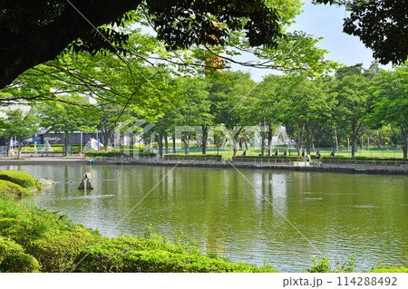 つくば中央公園 茨城県筑波市 つくば中央公園 茨城県筑波市 114288492
