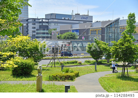 つくば中央公園 茨城県筑波市 つくば中央公園 茨城県筑波市 114288493