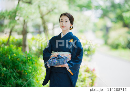 訪問着の着物を着た女性 訪問着の着物を着た女性 114288715