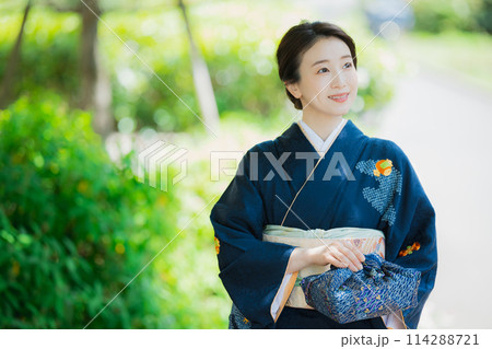 訪問着の着物を着た女性 114288721