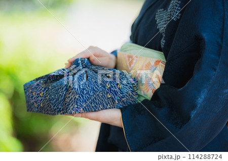 訪問着の着物を着た女性 114288724