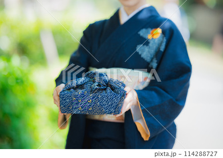 訪問着の着物を着た女性 114288727