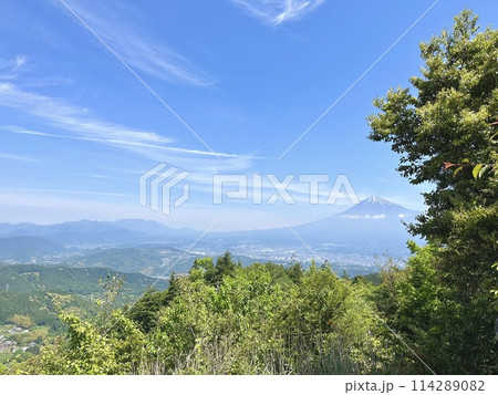 春の山から見る富士山 春の山から見る富士山 114289082