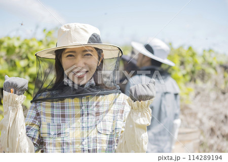 養蜂家イメージ　笑顔で巣箱の前に立つ若い女性 114289194