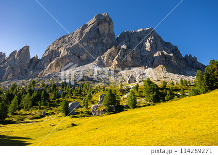 Rocky Munt de Fornella in Dolomites with alpine meadows on slopes 114289271