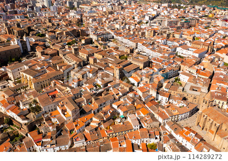 Aerial view of the city of Caceres Aerial view of the city of Caceres 114289272