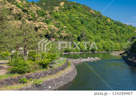 新緑の山と宇治公園塔の島風景 114289467