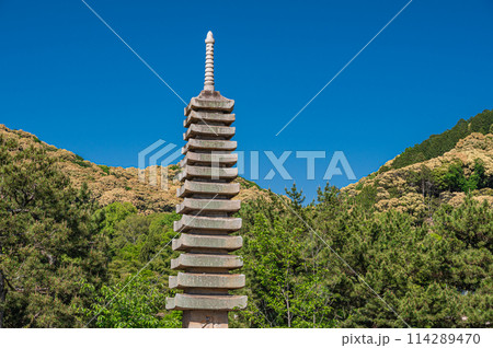 初夏の宇治公園塔の島　十三重石塔 114289470