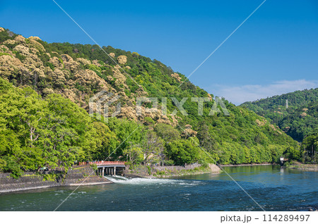 宇治公園から眺めた新緑の山並み　京都府宇治市 114289497