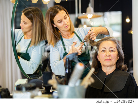 Elderly woman getting haircut by professional female hairdresser Elderly woman getting haircut by professional female hairdresser 114289827