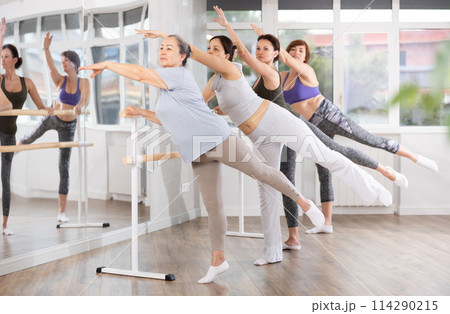 Elderly woman practicing arabesque in beginner ballet group Elderly woman practicing arabesque in beginner ballet group 114290215